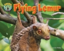 Image for Flying Lemur