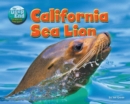 Image for California Sea Lion