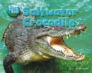 Image for Saltwater Crocodile