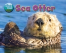 Image for Sea Otter