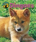 Image for Dingoes