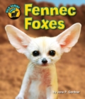 Image for Fennec Foxes