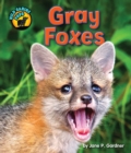 Image for Gray Foxes