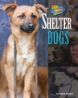 Image for Shelter Dogs
