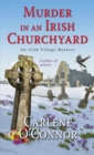 Image for Murder in an Irish churchyard