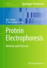 Image for Protein Electrophoresis : Methods and Protocols