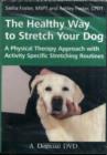 Image for HEALTHY WAY TO STRETCH DVD