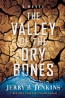 Image for Valley of Dry Bones: A Novel