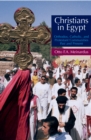 Image for Christians in Egypt: Orthodox, Catholic and Protestant communities past and present