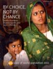 Image for The state of the world population report 2012 : by choice, not by chance, family planning, human rights and development