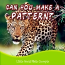 Image for Can You Make A Pattern?