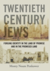 Image for Twentieth century Jews: forging identity in the land of promise and in the promised land
