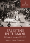 Image for Palestine in turmoil: the struggle for sovereignty, 1933-1939