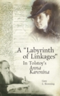 Image for A labyrinth of linkages in Tolstoy&#39;s Anna Karenina