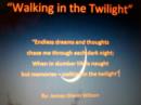 Image for &amp;quot;Walking in the Twilight&amp;quot;