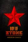 Image for Boy of Stone