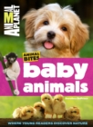 Image for Animal Planet Baby Animals