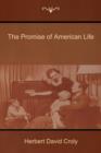 Image for The Promise of American Life