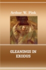 Image for Gleanings in Exodus