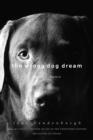 Image for The Wrong Dog Dream : A True Romance