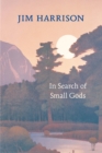 Image for In search of small gods