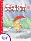 Image for What Is The Weather Like?