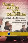 Image for Young Adults with Disabilities : Post-High School Outcomes