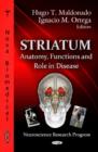 Image for Striatum  : anatomy, functions, and role in disease