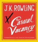 Image for Casual Vacancy