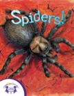 Image for Know It Alls - Spiders