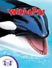 Image for Know It Alls - Whales