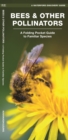 Image for Bees &amp; Other Pollinators : A Folding Pocket Guide to the Status of Familiar Species