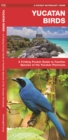 Image for Yucatan Birds : A Folding Pocket Guide to Familiar Species of the Yucatan Peninsula