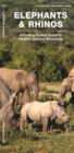 Image for Elephants &amp; Rhinos