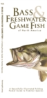 Image for Bass &amp; Freshwater Game Fish : A Folding Pocket Guide to Popular North American Species