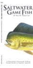 Image for Saltwater Game Fish : A Folding Pocket Guide to Popular North American Species