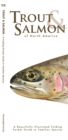 Image for Trout &amp; Salmon : A Folding Pocket Guide to North American Salmonids