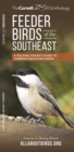 Image for Feeder Birds of the Southeast : A Folding Pocket Guide to Common Backyard Birds