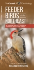 Image for Feeder Birds of the Northeast : A Folding Pocket Guide to Common Backyard Birds