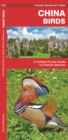 Image for China Birds : A Folding Pocket Guide to Familiar Species