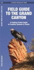 Image for Field Guide to the Grand Canyon