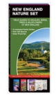 Image for New England Nature Set : Field Guides to Wildlife, Birds, Trees &amp; Wild Flowers of New England