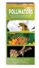 Image for Pollinators : Folding Pocket Guides to Bees, Butterflies &amp; Moths and Bats