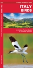 Image for Italy Birds : A Folding Pocket Guide to Familiar Species