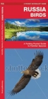 Image for Russia Birds : A Folding Pocket Guide to Familiar Species