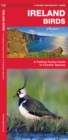 Image for Ireland Birds : A Folding Pocket Guide to Familiar Species