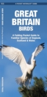 Image for Great Britain Birds : A Folding Pocket Guide to Familiar Species of England, Scotland &amp; Wales