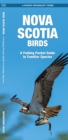 Image for Nova Scotia Birds : A Folding Pocket Guide to Familiar Species