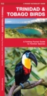 Image for Trinidad &amp; Tobago Birds : A Folding Pocket Guide to Familiar Species