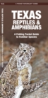 Image for Texas Reptiles &amp; Amphibians : A Folding Pocket Guide to Familiar Species